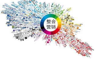 晉中發展新引擎 招商加盟與技術服務的融合之道